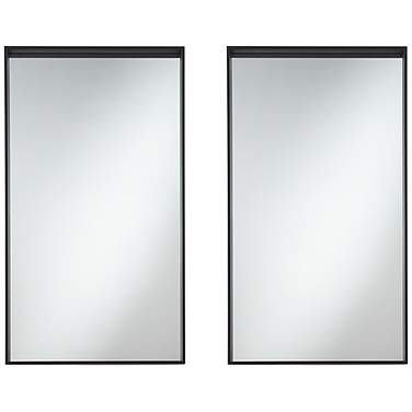 Delaney Matte Black 24" x 42" Rectangular Wall Mirrors Set of 2