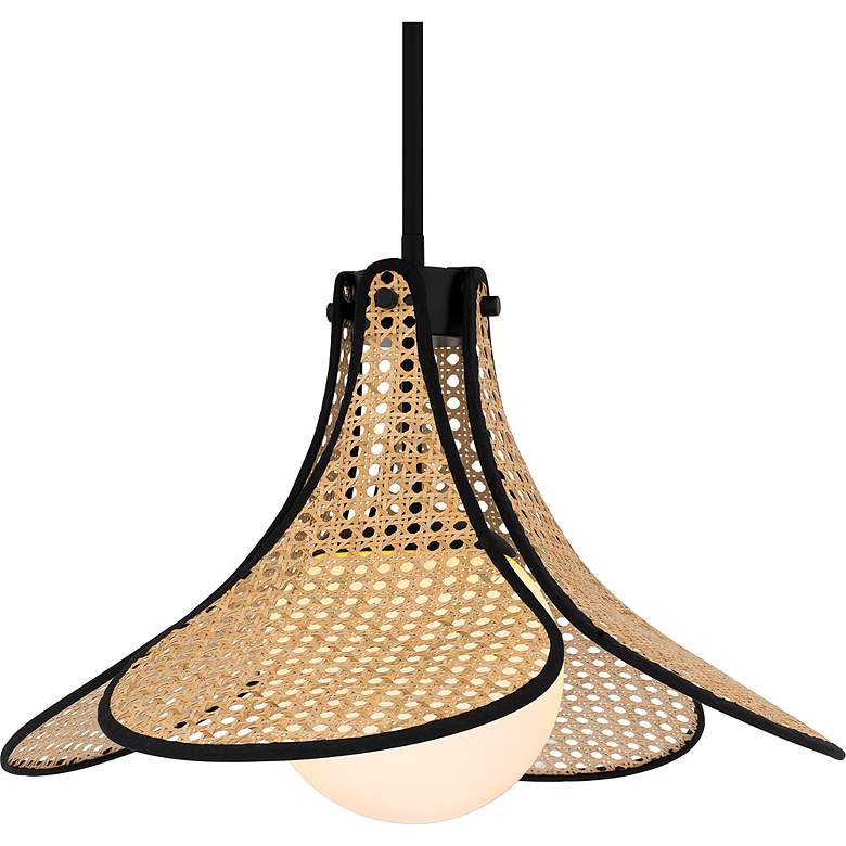 Image 5 Delilah 1-Light Matte Black Pendant Light more views