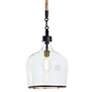 2_Demi John 10" Wide Black and Clear Glass Mini Pendant