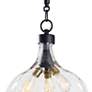 7_Demi John 10" Wide Black and Clear Glass Mini Pendant more views