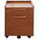 Denali 22" Wide Walnut Wood 2-Drawer Mobile Pedestal