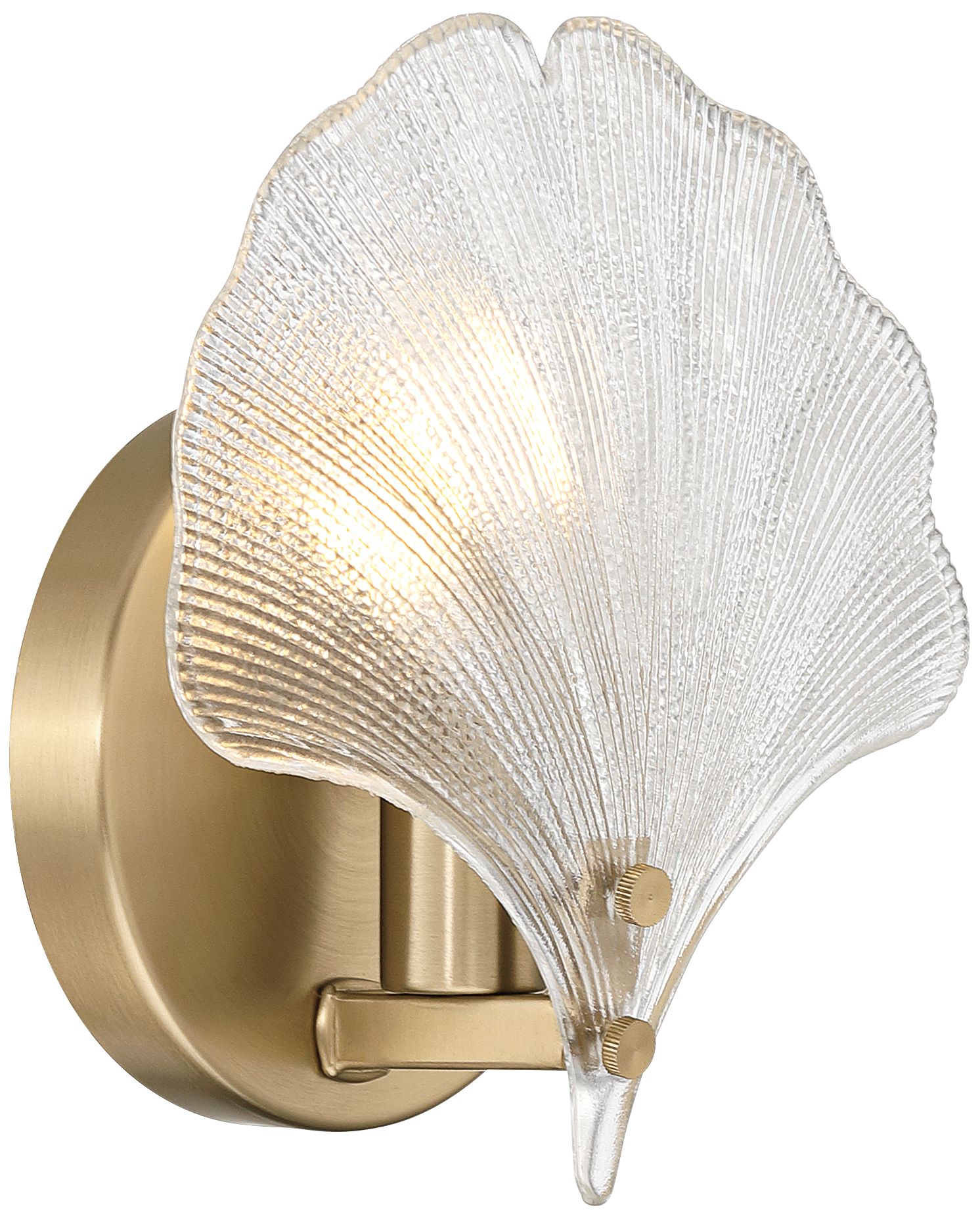 Watch A Video About the Deniz Satin Brass and Glass Scallop Shell Wall Sconce