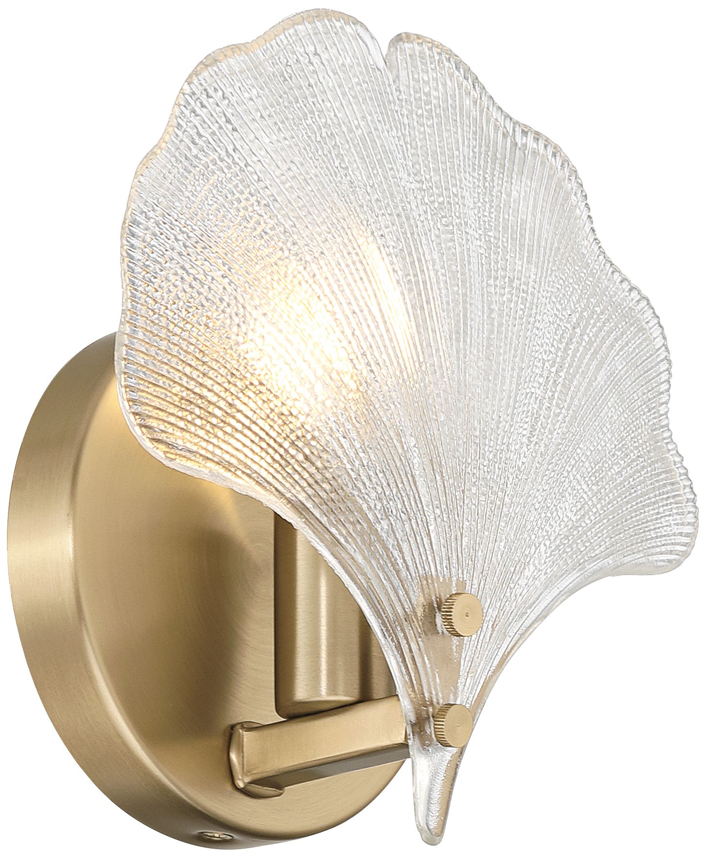 Watch A Video About the Deniz Satin Brass and Glass Scallop Shell Wall Sconce