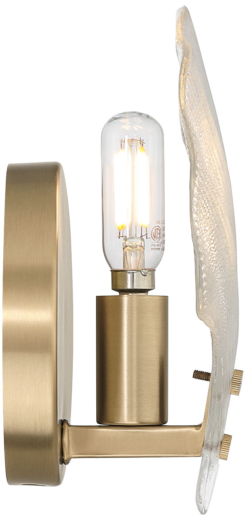 Watch A Video About the Deniz Satin Brass and Glass Scallop Shell Wall Sconce