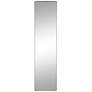 Denley Chrome Metal 20" x 80" Rectangular Floor Mirror