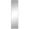 Denley Chrome Metal 20" x 80" Rectangular Floor Mirror