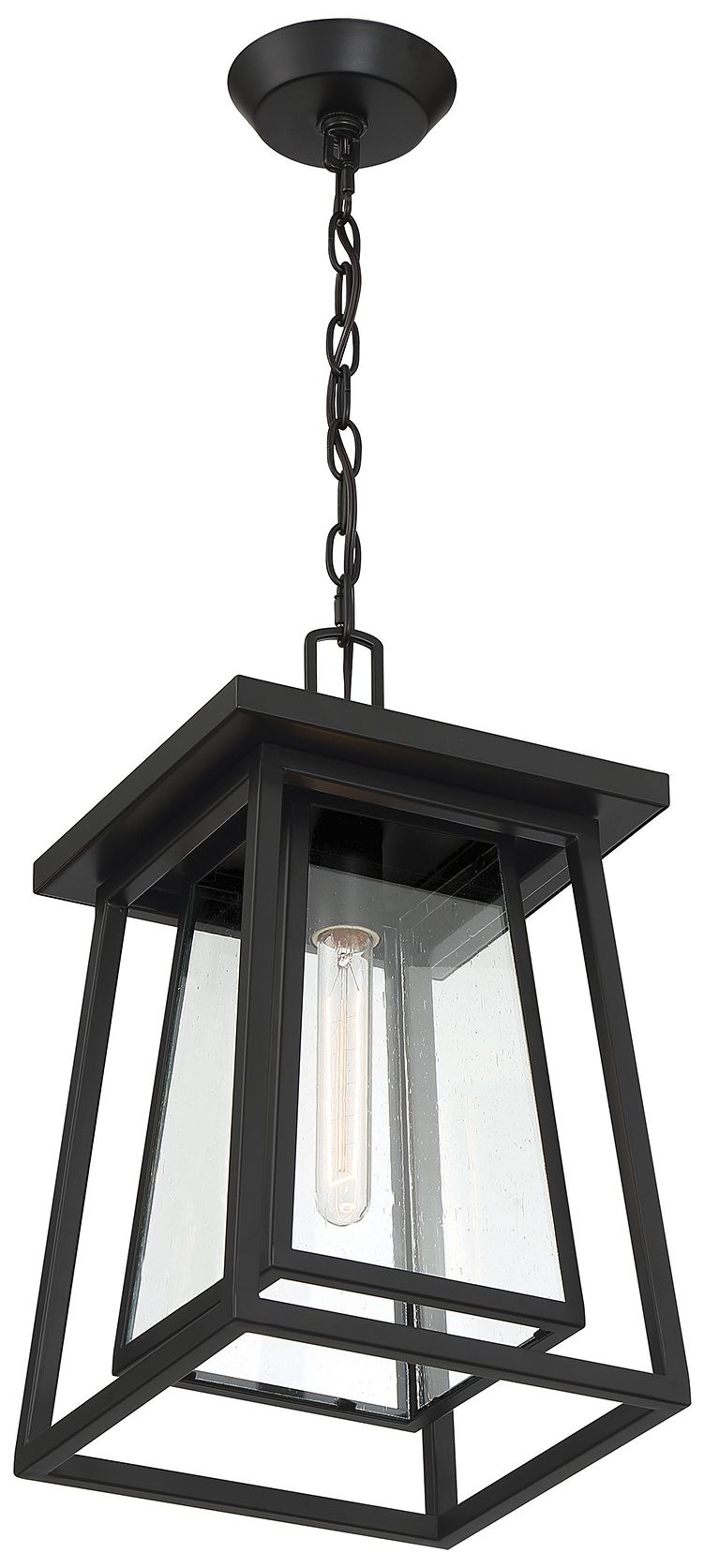 Image 4 Denver 1-Light Outdoor Hanging Lantern in Matte Black more views
