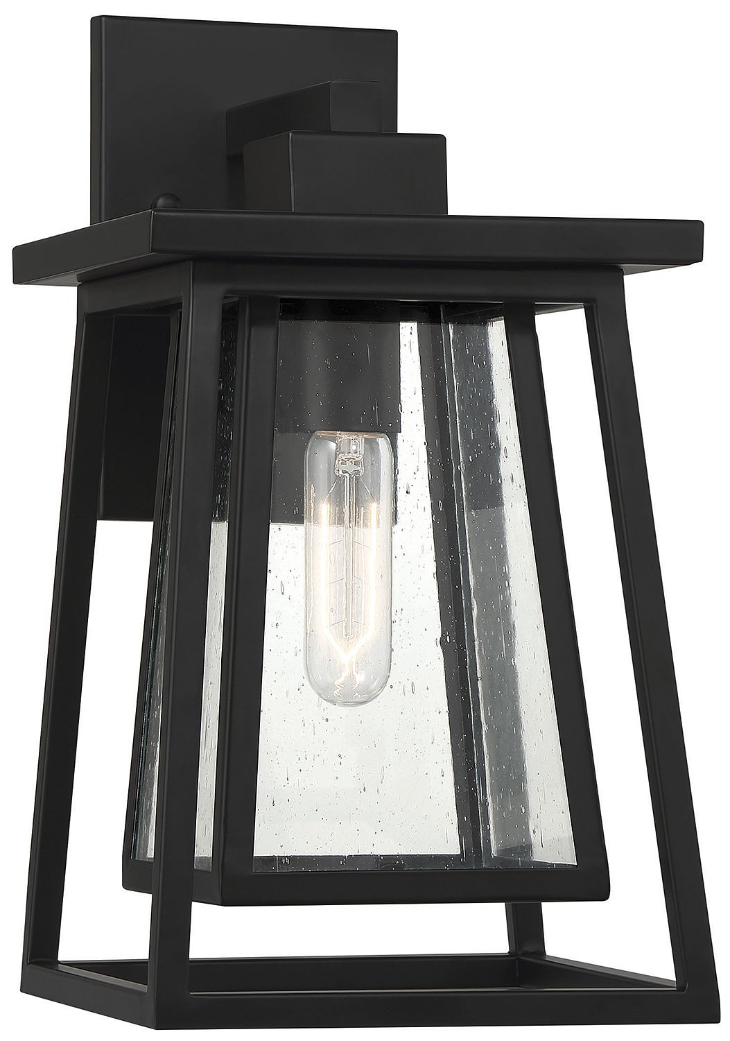 Denver 1-Light Outdoor Wall Lantern in Matte Black