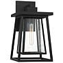 1_Denver 1-Light Outdoor Wall Lantern in Matte Black