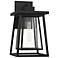 Denver 1-Light Outdoor Wall Lantern in Matte Black