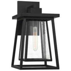 Denver 1-Light Outdoor Wall Lantern in Matte Black