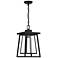 Denver 16 1/4" High Matte Black Outdoor Hanging Light
