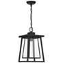 Thumbnail2 of Denver 16 1/4" High Matte Black Outdoor Hanging Light more views