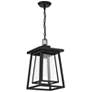 Thumbnail3 of Denver 16 1/4" High Matte Black Outdoor Hanging Light more views