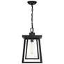 5_Denver 16 1/4" High Matte Black Outdoor Hanging Light more views