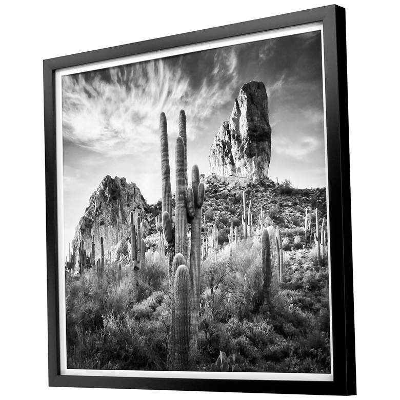 Image 5 Desert View 38" Square Giclee Framed Wall Art more views