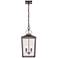 Devens 22" High Powder-Coated Bronze Outdoor Hanging Light