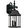 Devonshire 19" High Clear Glass Black Outdoor Wall Light