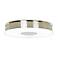 Disk Collection ENERGY STAR® 10 1/2" Wide Ceiling Light
