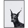 3_Doberman 24" High Rectangular Framed Glass Wall Art