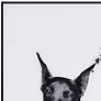 4_Doberman 24" High Rectangular Framed Glass Wall Art more views