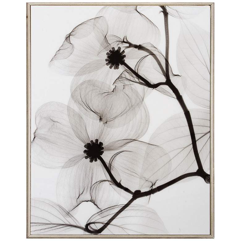 Image 1 Dogwood Blossoms Positive 25 inch High Framed Wall Art