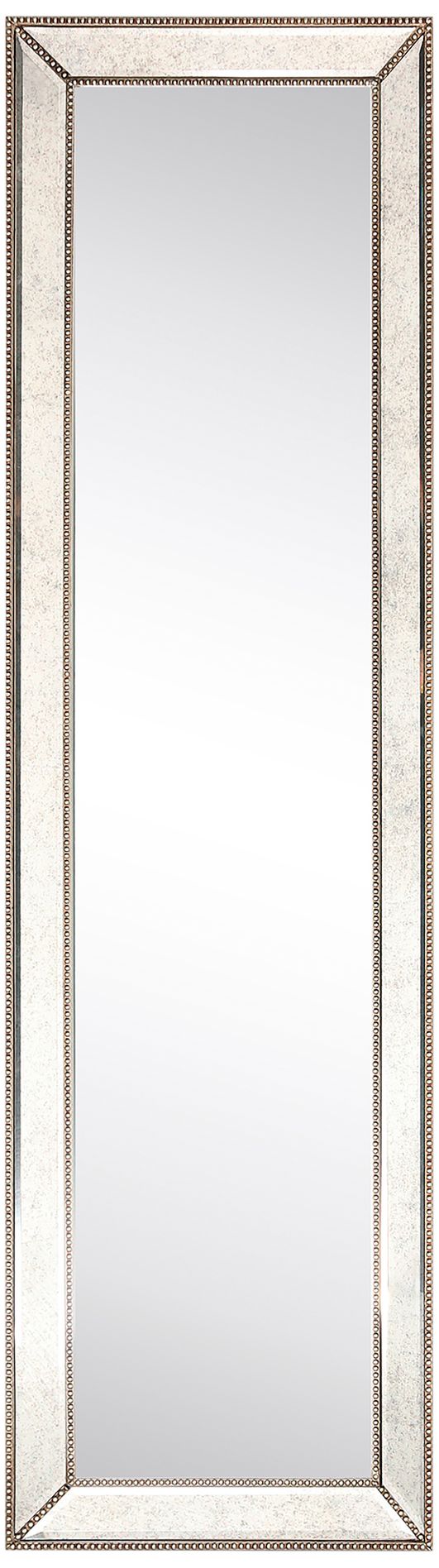 Dola Champagne Bead 18" x 64" Rectangular Cheval Mirror in scene