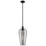 1_Downtown Chelsea 8"W Stem Black Mini Pendant w/ Light Smoke Shade