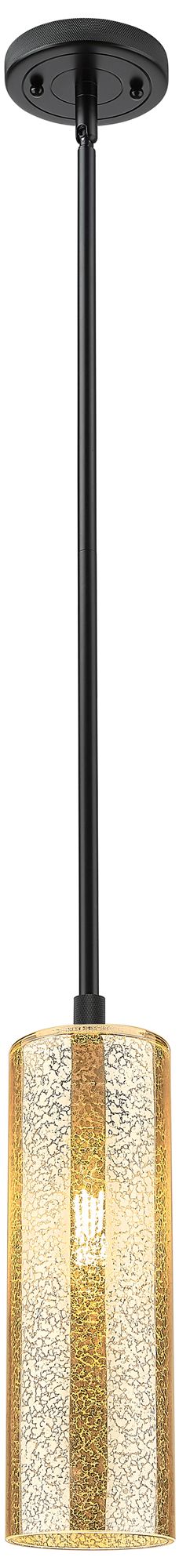 Downtown Crown Point 5