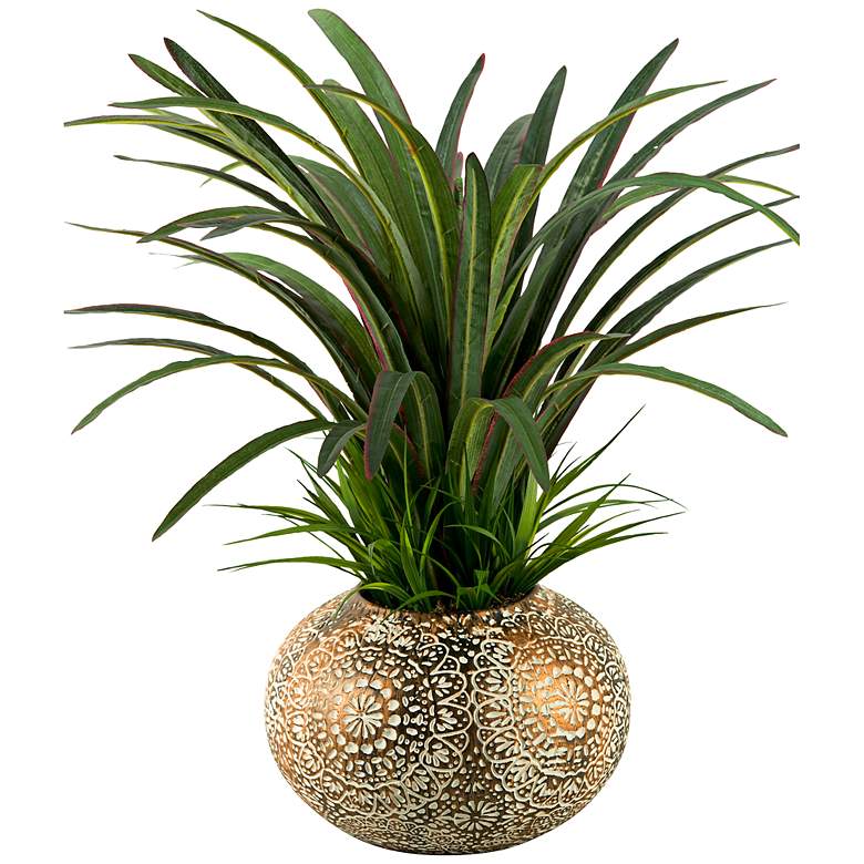 Image 1 Dracaena and Wild 24 inch High Grass in Large Round Ball Planter