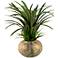 Dracaena and Wild 24" High Grass in Large Round Ball Planter
