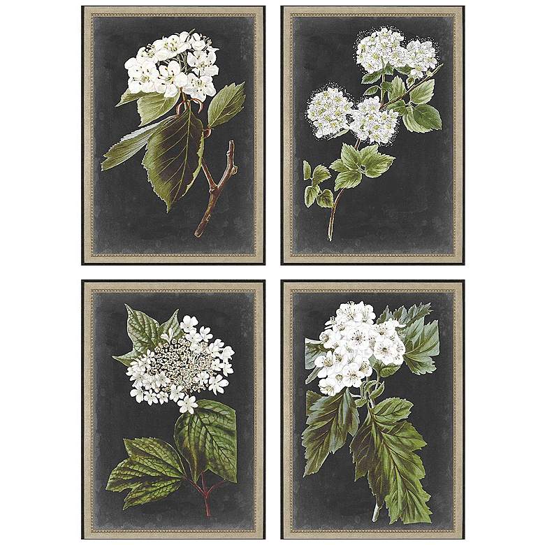 Image 1 Dramatic White Flower 18"W x 26"H Framed Art Set of 4