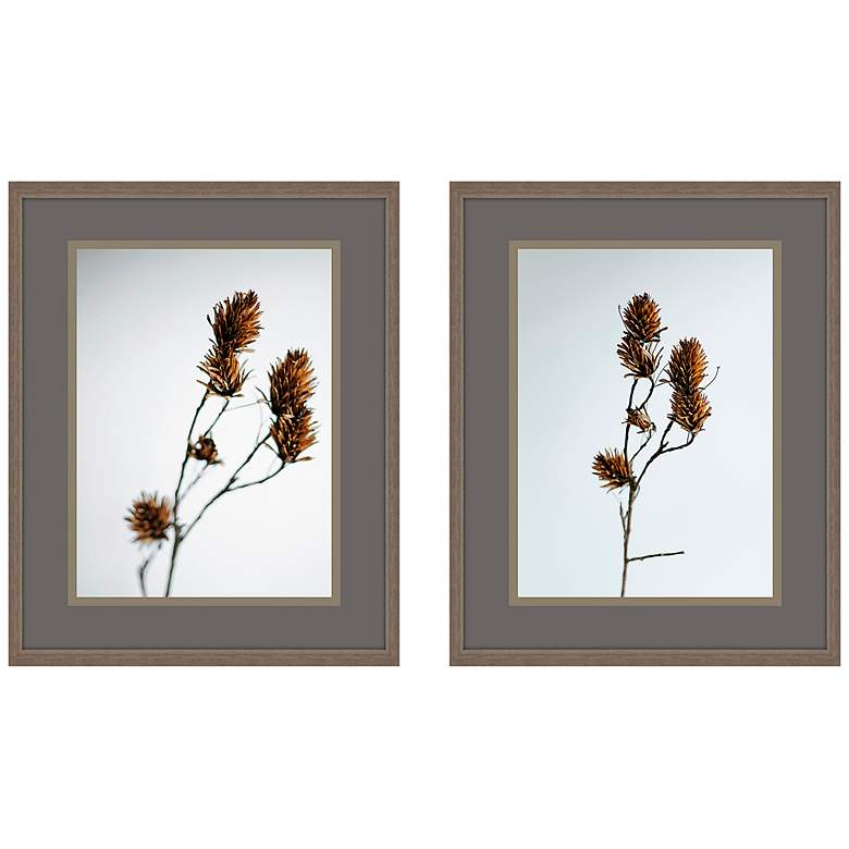 Image 2 Dried Bud 32 inch High 2-Piece Giclee Framed Wall Art Set