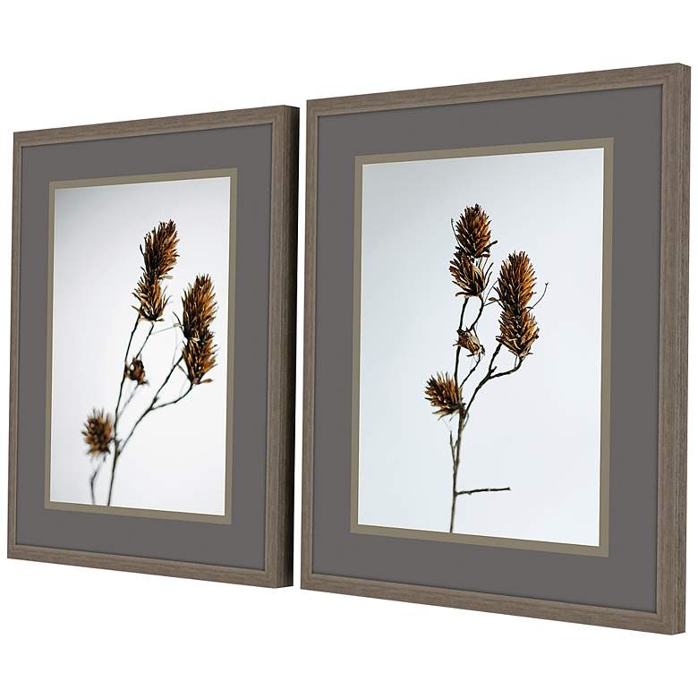 Image 4 Dried Bud 32 inch High 2-Piece Giclee Framed Wall Art Set more views