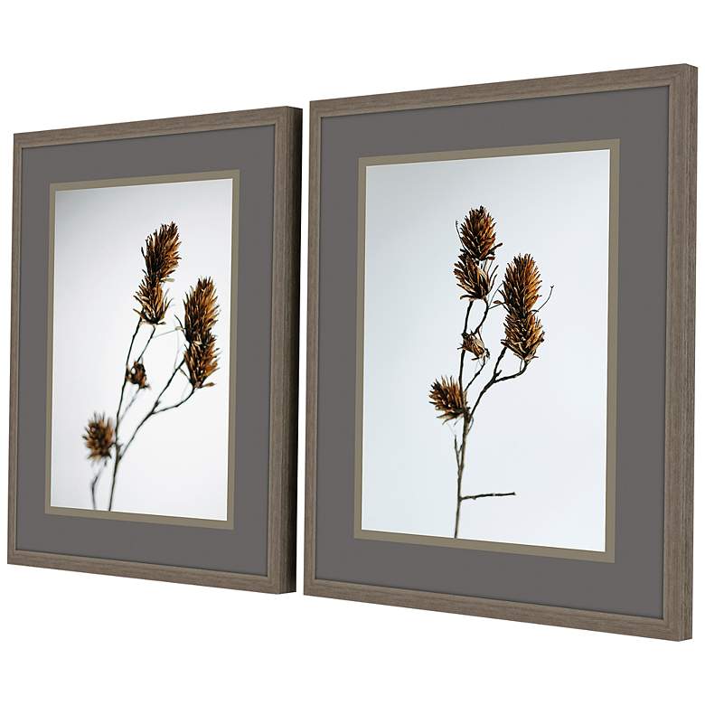 Image 4 Dried Bud 32" High 2-Piece Giclee Framed Wall Art Set more views