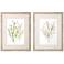Dried Flower 21"W x 27"H Framed Art Set of 2