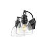 2_Duncan 2-Light Bath Vanity in Matte Black with Clear Glass more views