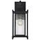 Dunnmore 1-Light Outdoor Wall Lantern in Black