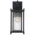 Dunnmore 1-Light Outdoor Wall Lantern in Black