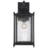 Dunnmore 1-Light Outdoor Wall Lantern in Black