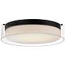 1_Duo 1-Light 16" Wide Black Flush Mount Light