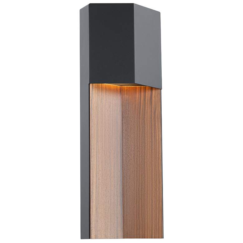 Image 1 Dusk 20" High Black and Dark Walnut LED Outdoor Wall Light