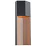 1_Dusk 20" High Black and Dark Walnut LED Outdoor Wall Light