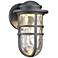 dweLED Steampunk 9 1/2" High Graphite LED Outdoor Wall Light