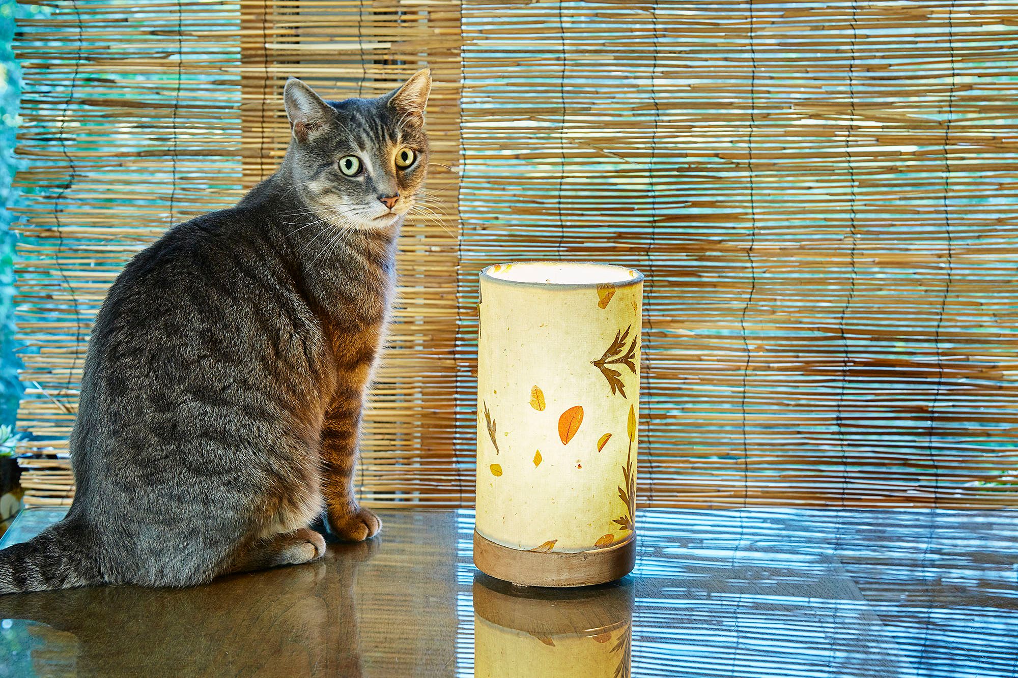 Image 4 Eangee 9"H Paper Cylinder Fern Mini Table Accent Lamp more views