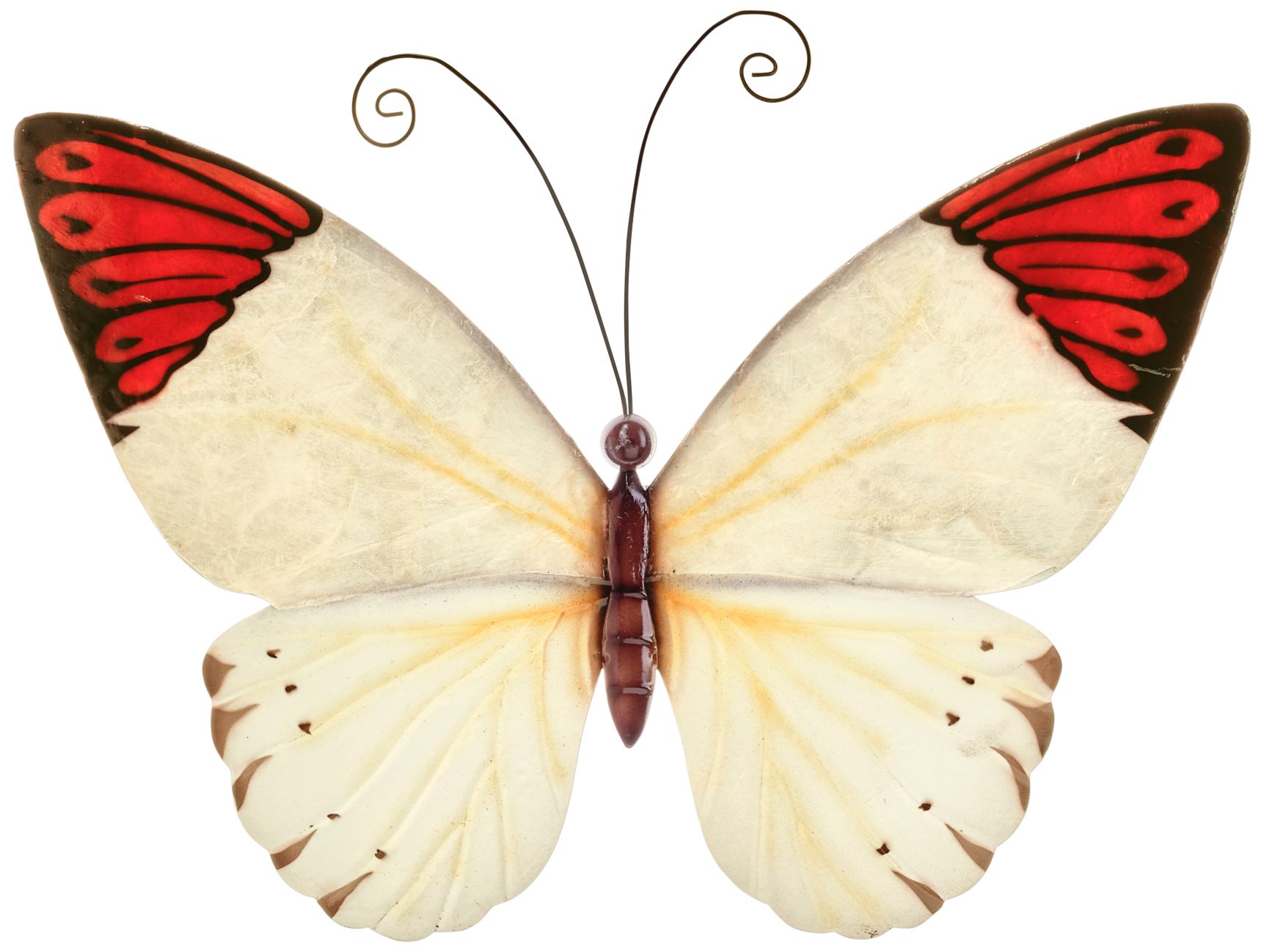 Eangee Butterfly 12