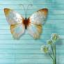 1_Eangee Butterfly 18" Wide Pearl Capiz Shell Wall Decor