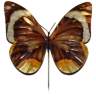 Eangee Butterfly Brown 24" High Decorative Garden Stake