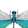2_Eangee Dragonfly 12"W White and Aqua Capiz Shell Wall Decor more views