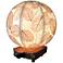 Eangee Driftwood Natural Cocoa Leaves Orb Accent Table Lamp